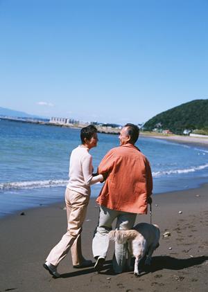 格安で質が高い 愛犬におすすめのペット保険サービス