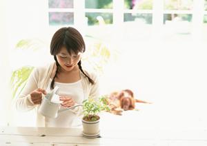 いつでも安心して診てもらえる動物病院
