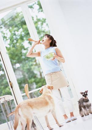 大阪でのペット移動は安心！信頼できるペットタクシーサービス完全ガイド