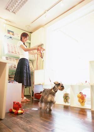 トリミングも行える秦野市の動物病院