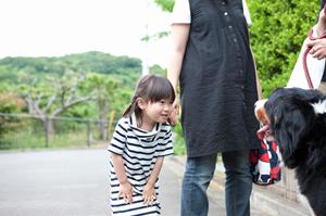 奈良市唯一のペット葬儀社について
